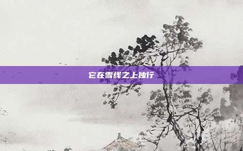 它在雪线之上独行