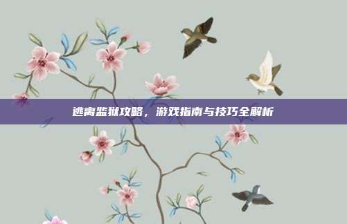 逃离监狱攻略,游戏指南与技巧全解析