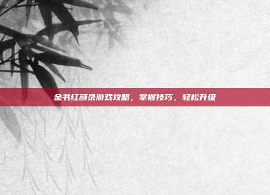 金书红颜录游戏攻略,掌握技巧,轻松升级