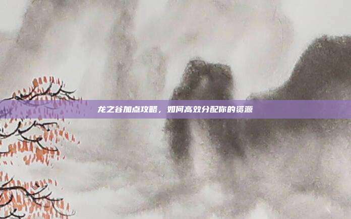 龙之谷加点攻略,如何高效分配你的资源