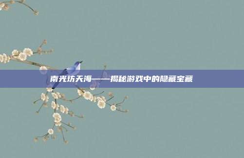 南光坊天海——揭秘游戏中的隐藏宝藏