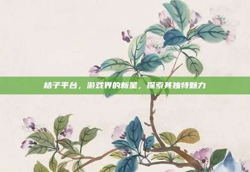 桔子平台,游戏界的新星,探索其独特魅力