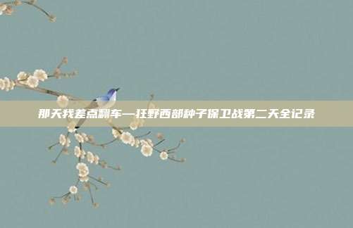 那天我差点翻车—狂野西部种子保卫战第二天全记录
