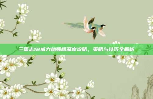 三国志12威力加强版深度攻略,策略与技巧全解析