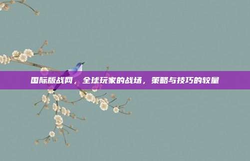 国际版战网,全球玩家的战场,策略与技巧的较量