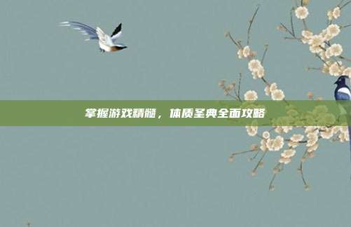 掌握游戏精髓,体质圣典全面攻略