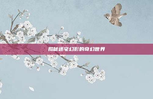 揭秘迷宅幻影的奇幻世界