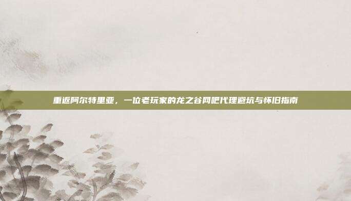 重返阿尔特里亚，一位老玩家的龙之谷网吧代理避坑与怀旧指南