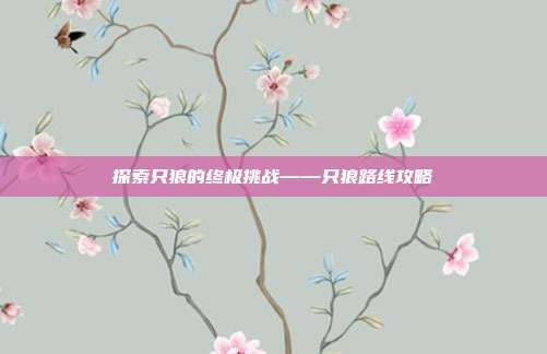 探索只狼的终极挑战——只狼路线攻略