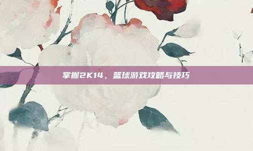掌握2K14,篮球游戏攻略与技巧