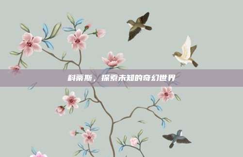 科蒂斯,探索未知的奇幻世界
