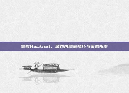 掌握Hacknet，游戏内隐藏技巧与策略指南