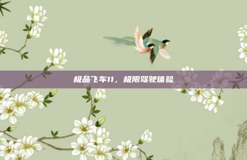 极品飞车11,极限驾驶体验