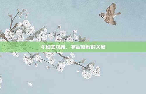 斗地主攻略,掌握胜利的关键