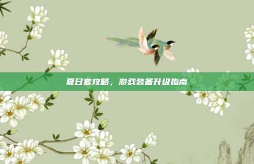 夏日套攻略,游戏装备升级指南