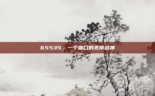 65535，一个端口的无限战神