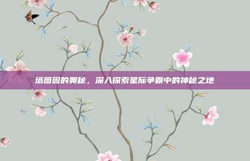 塔图因的奥秘，深入探索星际争霸中的神秘之地