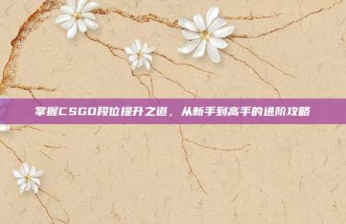 掌握CSGO段位提升之道,从新手到高手的进阶攻略