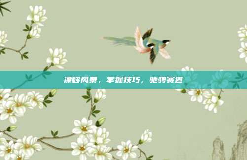 漂移风暴，掌握技巧，驰骋赛道