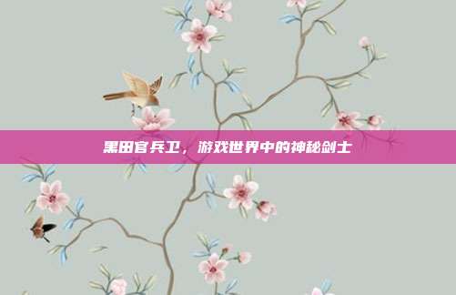 黑田官兵卫,游戏世界中的神秘剑士