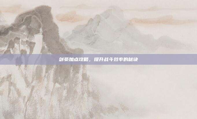 剑豪加点攻略,提升战斗效率的秘诀
