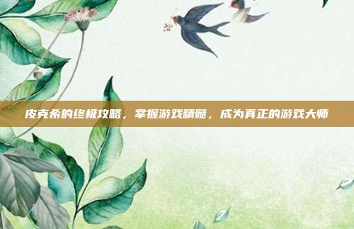皮克希的终极攻略,掌握游戏精髓,成为真正的游戏大师