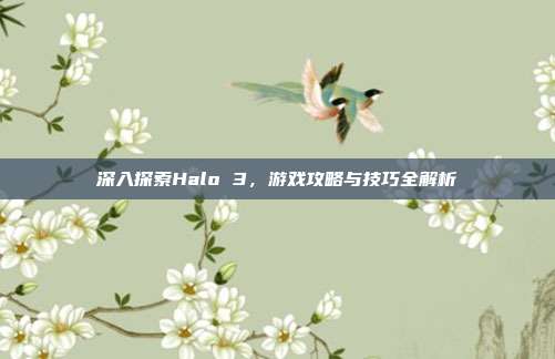深入探索Halo 3,游戏攻略与技巧全解析