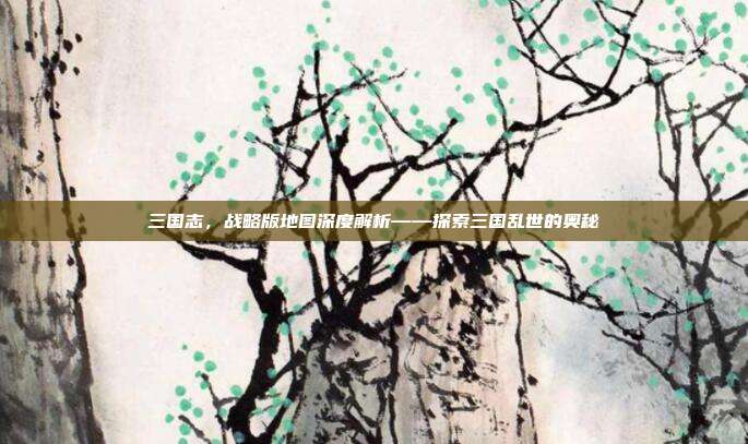 三国志,战略版地图深度解析——探索三国乱世的奥秘