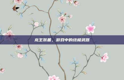 龙王装备,游戏中的终极武器