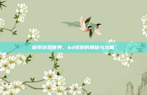 探索游戏世界，bd视频的奥秘与攻略