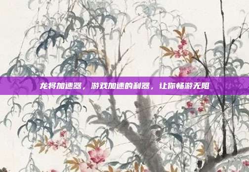 龙将加速器，游戏加速的利器，让你畅游无阻