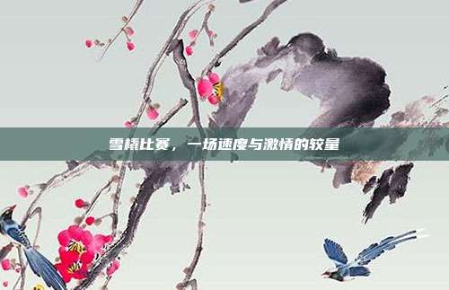 雪橇比赛,一场速度与激情的较量