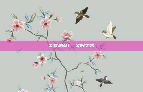 荣誉勋章1,荣耀之路