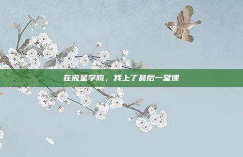 在流星学院,我上了最后一堂课