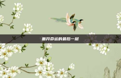 凿开命运的最后一层