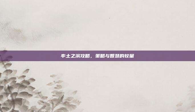 率土之滨攻略,策略与智慧的较量