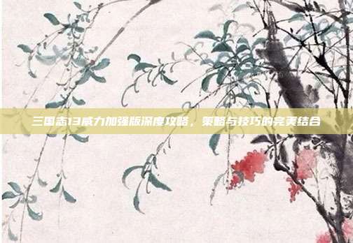三国志13威力加强版深度攻略,策略与技巧的完美结合