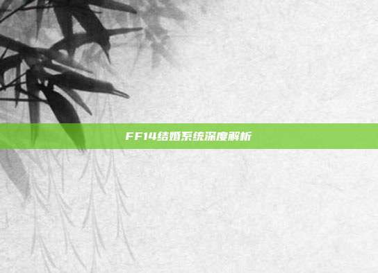 FF14结婚系统深度解析