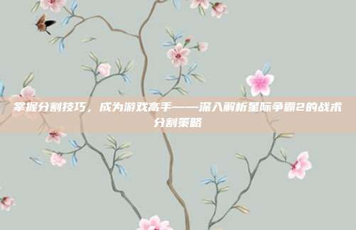 掌握分割技巧,成为游戏高手——深入解析星际争霸2的战术分割策略