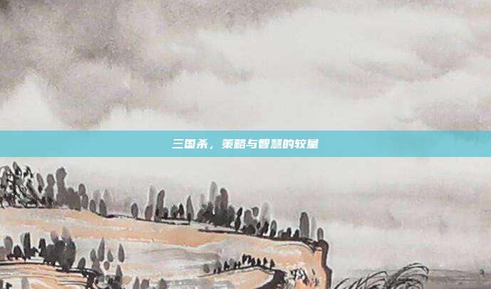 三国杀,策略与智慧的较量