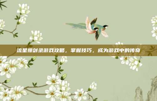 流星搜剑录游戏攻略,掌握技巧,成为游戏中的传奇