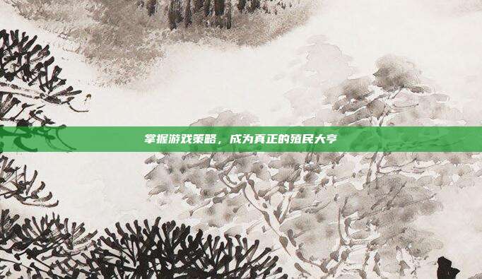 掌握游戏策略,成为真正的殖民大亨