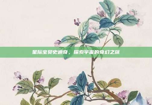 星际宝贝史迪奇,探索宇宙的奇幻之旅