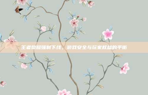 王者荣耀强制下线,游戏安全与玩家权益的平衡