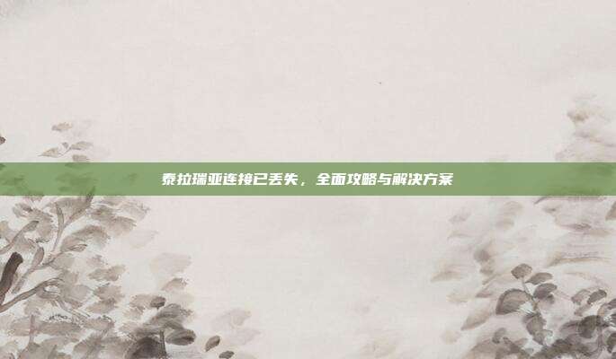 泰拉瑞亚连接已丢失,全面攻略与解决方案