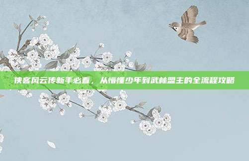 侠客风云传新手必看,从懵懂少年到武林盟主的全流程攻略