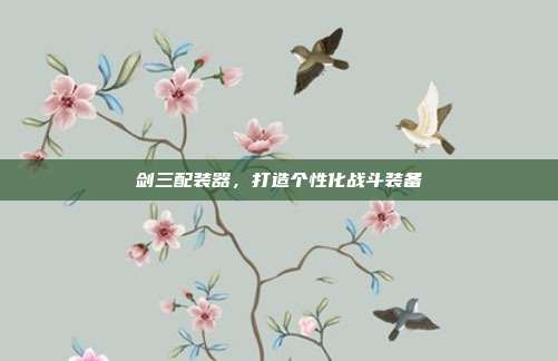 剑三配装器,打造个性化战斗装备