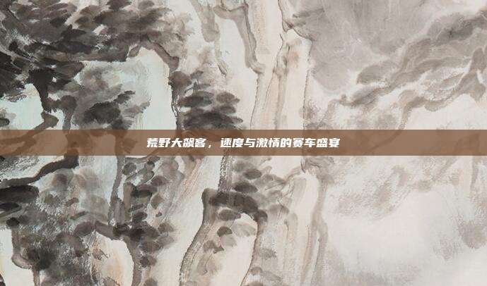 荒野大飙客,速度与激情的赛车盛宴