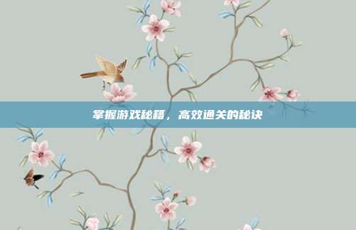 掌握游戏秘籍,高效通关的秘诀