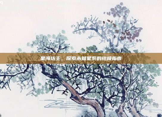 星海坊主，探索未知星系的终极指南